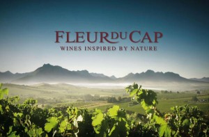 fleur du cap vygies exhibition