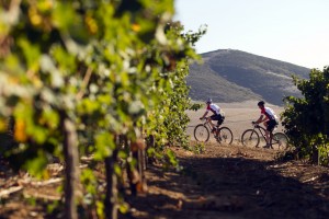 Absa Cape Epic 2012 Prologue - Meerendal Wine Estate