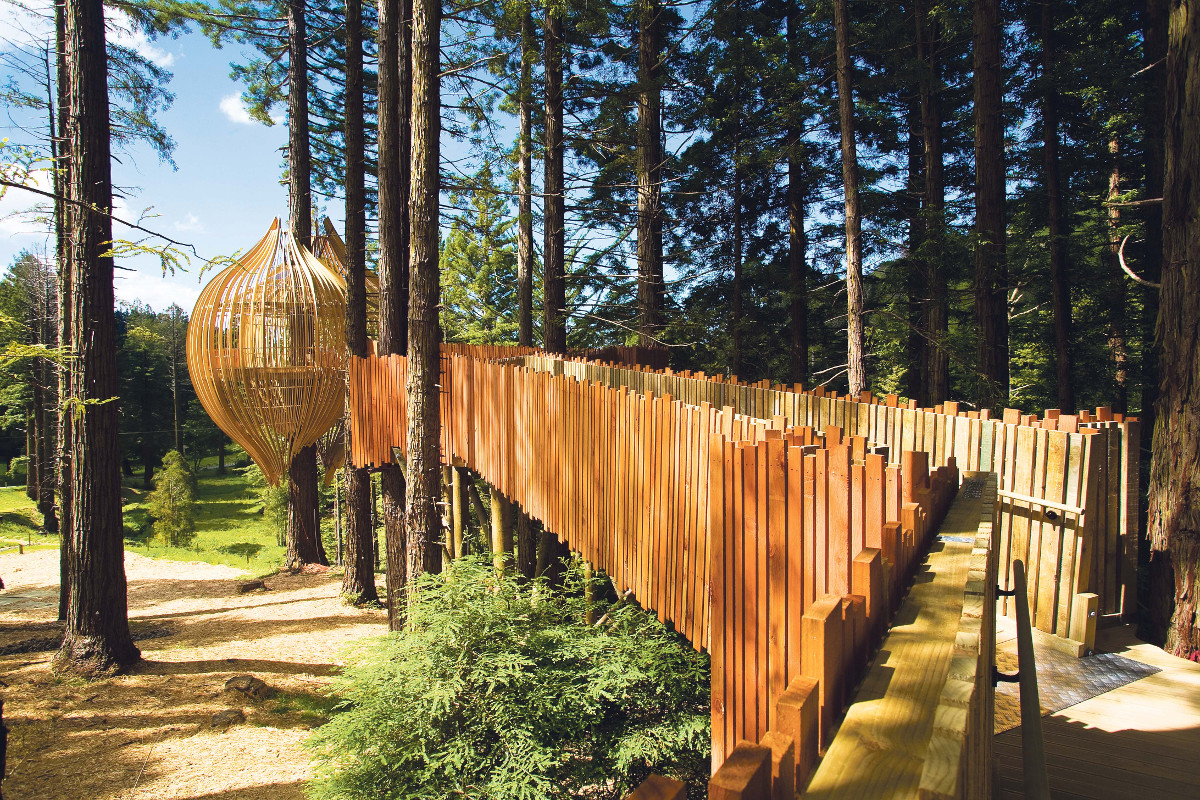 Redwoods Treehouse - Top 10 Unusual Restaurants in the World