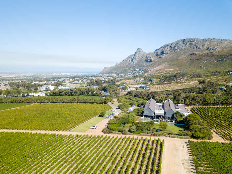 Discover a culinary journey with Executive Chef Kerry Kilpin at Steenberg this season